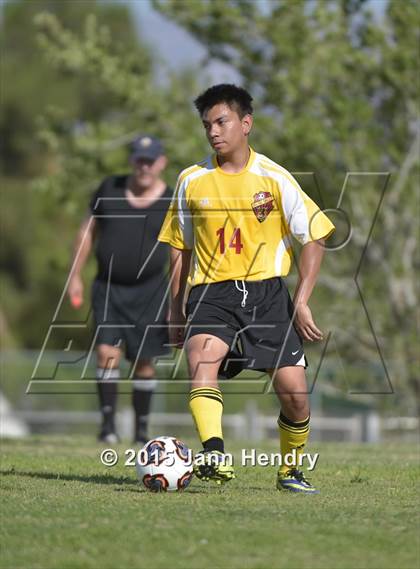 Thumbnail 3 in Del Sol vs Basic photogallery.