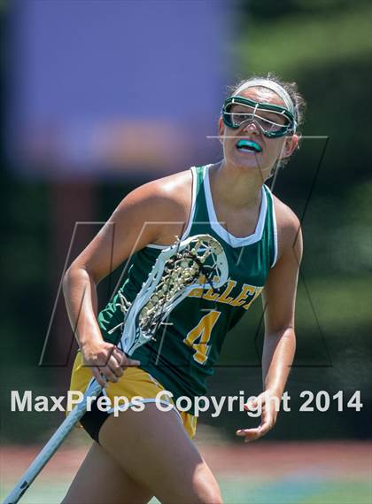 Thumbnail 1 in Woodgrove vs Loudoun Valley (VHSL 5A Final) photogallery.