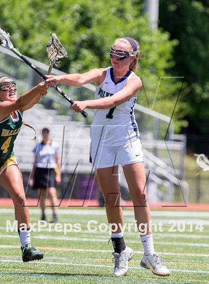 Thumbnail 1 in Woodgrove vs Loudoun Valley (VHSL 5A Final) photogallery.