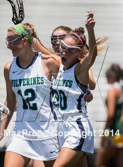 Thumbnail 1 in Woodgrove vs Loudoun Valley (VHSL 5A Final) photogallery.