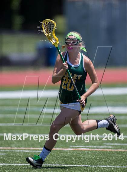 Thumbnail 2 in Woodgrove vs Loudoun Valley (VHSL 5A Final) photogallery.