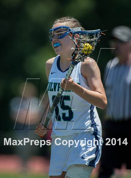 Thumbnail 2 in Woodgrove vs Loudoun Valley (VHSL 5A Final) photogallery.