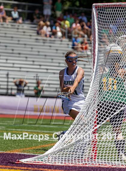 Thumbnail 1 in Woodgrove vs Loudoun Valley (VHSL 5A Final) photogallery.