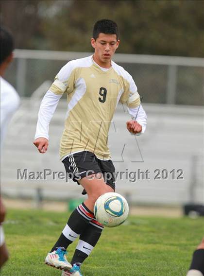 Thumbnail 1 in Olympian @ Kearny photogallery.