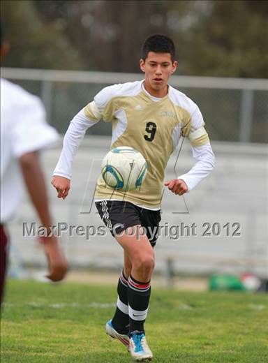 null - Photo 01