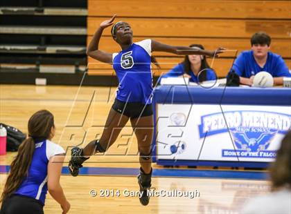 Thumbnail 2 in Ridgeview @ Menendez photogallery.