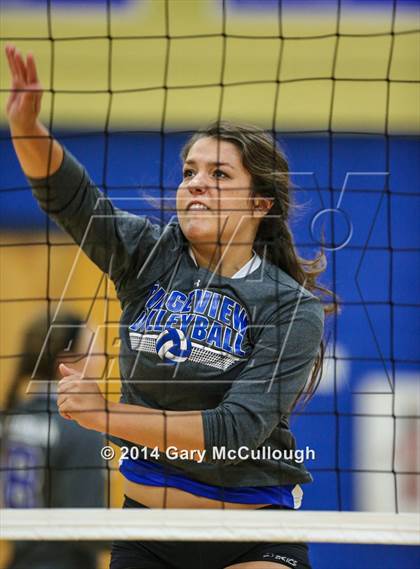 Thumbnail 3 in Ridgeview @ Menendez photogallery.