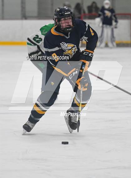 Thumbnail 3 in Vernon @ Kinnelon photogallery.