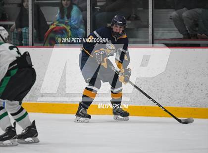 Thumbnail 1 in Vernon @ Kinnelon photogallery.