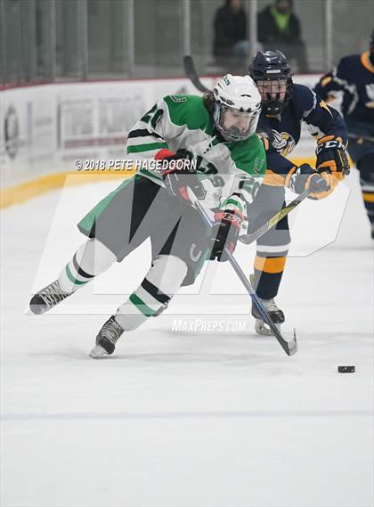 Thumbnail 1 in Vernon @ Kinnelon photogallery.