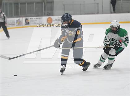 Thumbnail 3 in Vernon @ Kinnelon photogallery.