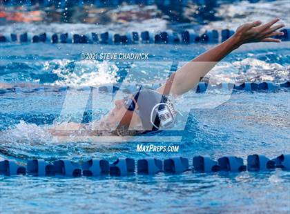 Thumbnail 1 in Higley @ McClintock photogallery.