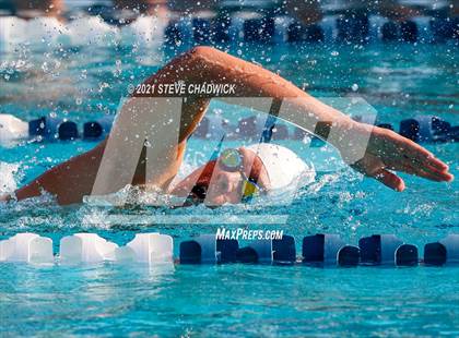 Thumbnail 1 in Higley @ McClintock photogallery.