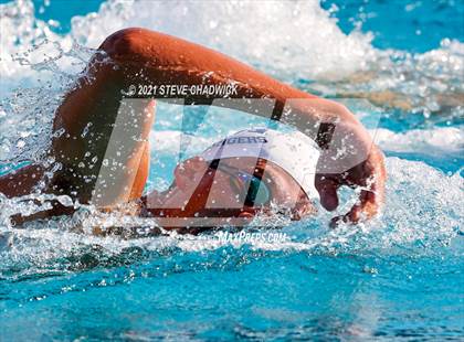 Thumbnail 3 in Higley @ McClintock photogallery.