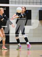 Photo from the gallery "D.H. Conley @ Havelock"