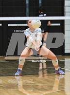 Photo from the gallery "D.H. Conley @ Havelock"