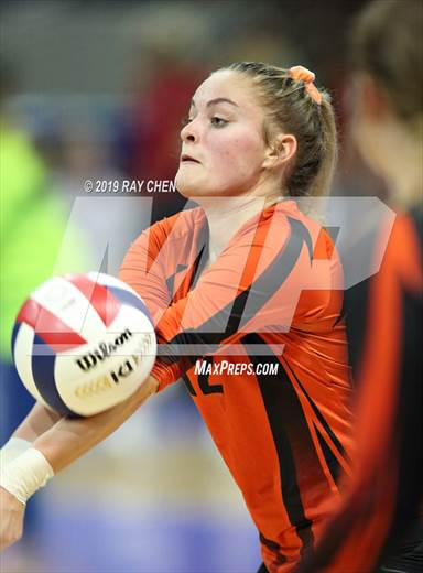 null - Photo 01