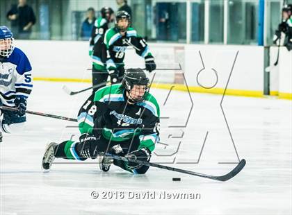 Thumbnail 1 in Fermi/Enfield/East Granby @ Hall/Southington photogallery.