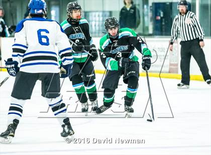 Thumbnail 3 in Fermi/Enfield/East Granby @ Hall/Southington photogallery.