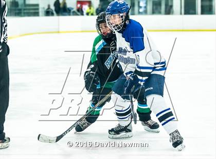 Thumbnail 2 in Fermi/Enfield/East Granby @ Hall/Southington photogallery.