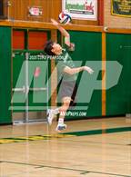Photo from the gallery "Antelope @ Kennedy"