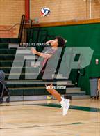 Photo from the gallery "Antelope @ Kennedy"