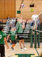 Photo from the gallery "Antelope @ Kennedy"