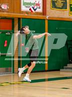 Photo from the gallery "Antelope @ Kennedy"