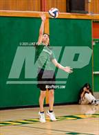 Photo from the gallery "Antelope @ Kennedy"