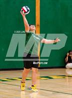 Photo from the gallery "Antelope @ Kennedy"