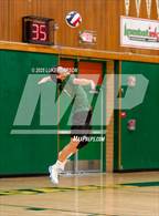 Photo from the gallery "Antelope @ Kennedy"