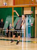 Photo from the gallery "Antelope @ Kennedy"