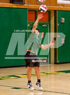 Photo from the gallery "Antelope @ Kennedy"