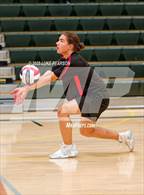 Photo from the gallery "Antelope @ Kennedy"