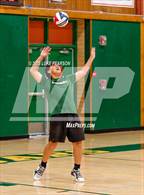 Photo from the gallery "Antelope @ Kennedy"