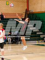 Photo from the gallery "Antelope @ Kennedy"