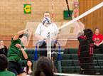 Photo from the gallery "Antelope @ Kennedy"
