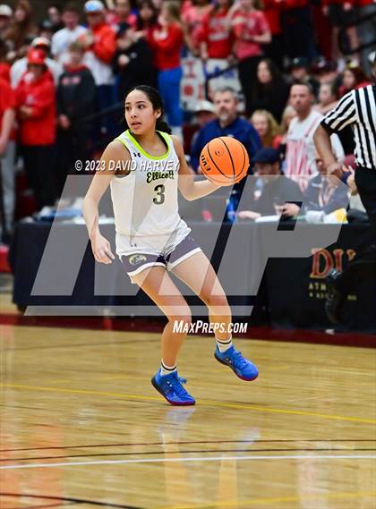 Thumbnail 3 in (CHSAA 3A Girls Basketball Round One) Buena Vista vs Ellicott photogallery.