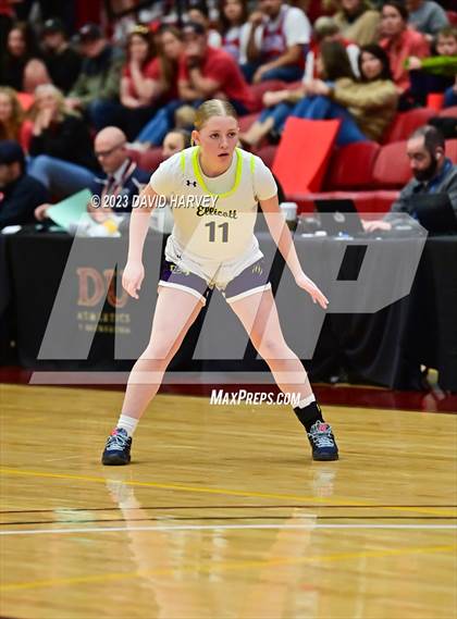 Thumbnail 1 in (CHSAA 3A Girls Basketball Round One) Buena Vista vs Ellicott photogallery.