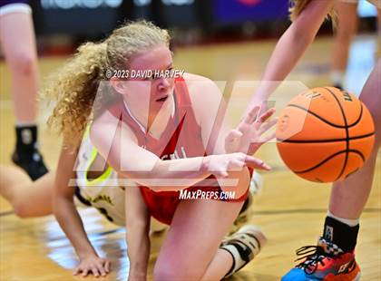 Thumbnail 2 in (CHSAA 3A Girls Basketball Round One) Buena Vista vs Ellicott photogallery.