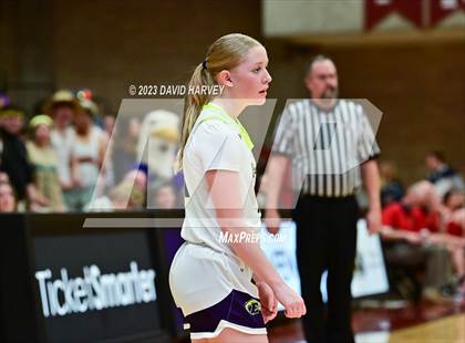 Thumbnail 1 in (CHSAA 3A Girls Basketball Round One) Buena Vista vs Ellicott photogallery.