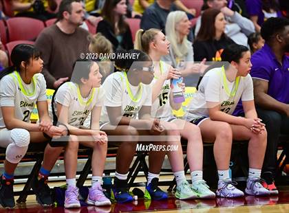Thumbnail 1 in (CHSAA 3A Girls Basketball Round One) Buena Vista vs Ellicott photogallery.