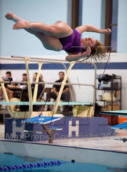 Thumbnail 3 in Section 11 Diving Championships photogallery.