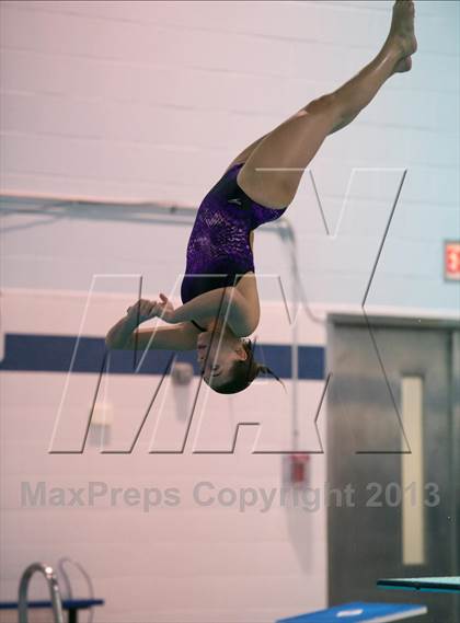 Thumbnail 1 in Section 11 Diving Championships photogallery.