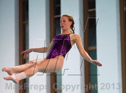 Thumbnail 2 in Section 11 Diving Championships photogallery.
