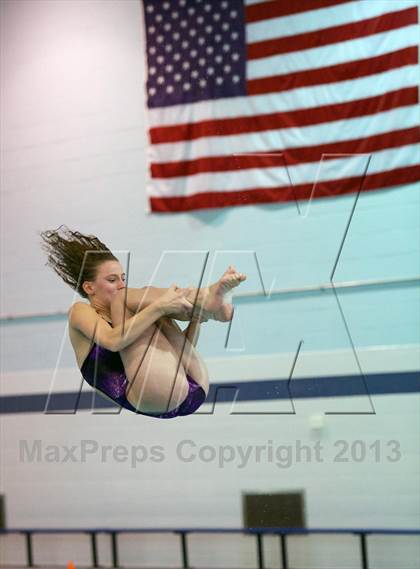 Thumbnail 1 in Section 11 Diving Championships photogallery.
