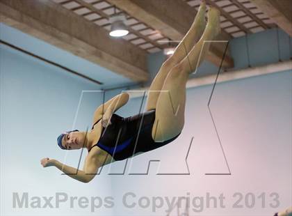 Thumbnail 2 in Section 11 Diving Championships photogallery.