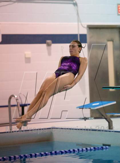 Thumbnail 1 in Section 11 Diving Championships photogallery.