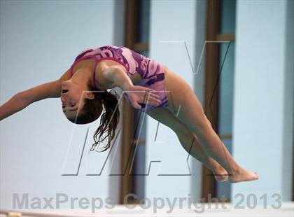 Thumbnail 3 in Section 11 Diving Championships photogallery.