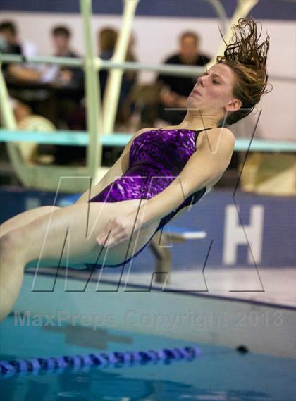 Thumbnail 1 in Section 11 Diving Championships photogallery.
